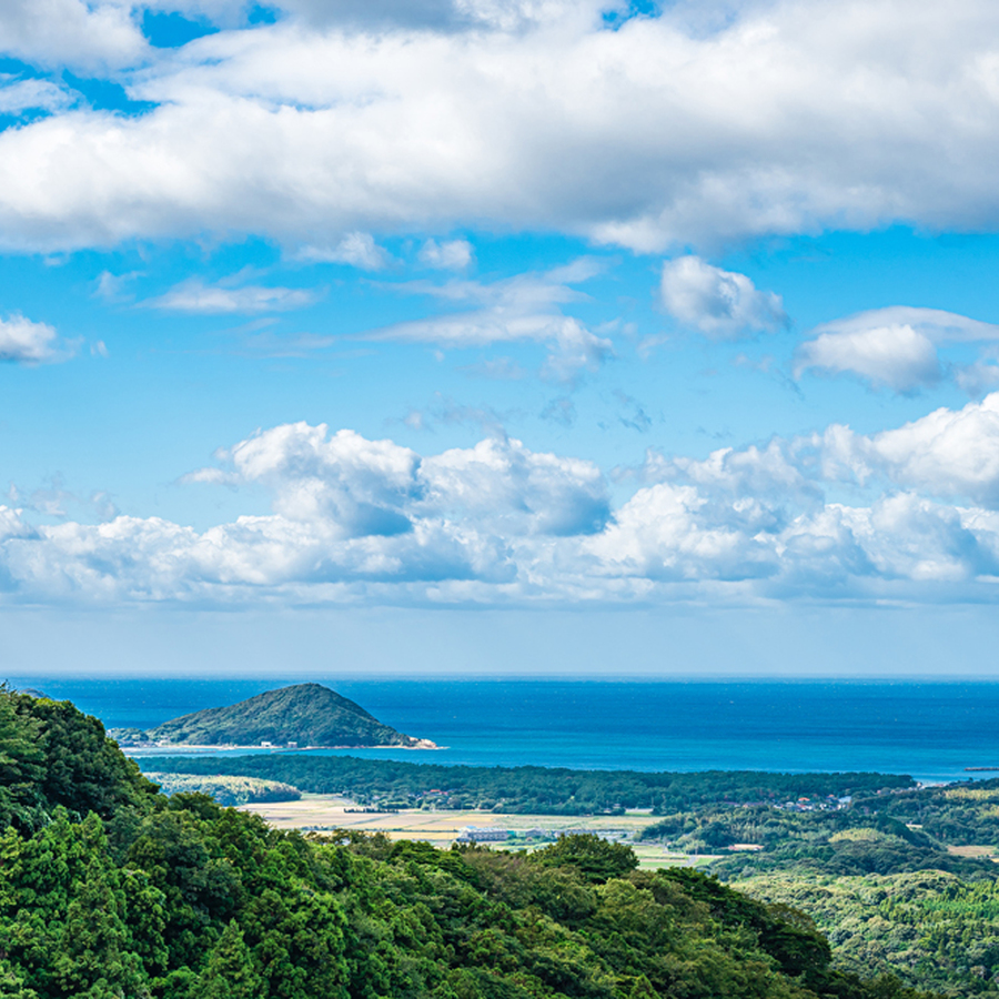 山口県内だと海岸線